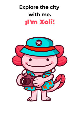 Axolotl Chat