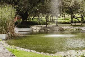 San Antonio Bio Park