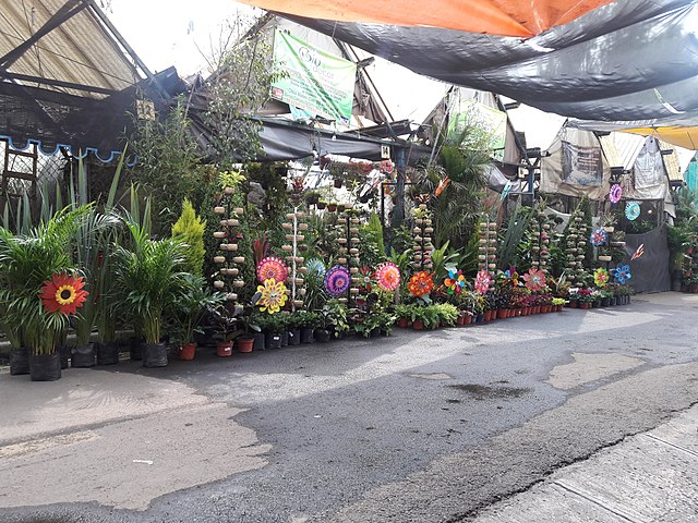 Cuemanco Plant and Flower Market: Latin America's Biggest