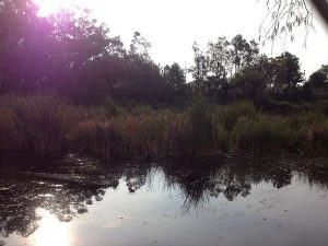 Parque ecológico y deportivo Huayamilpas