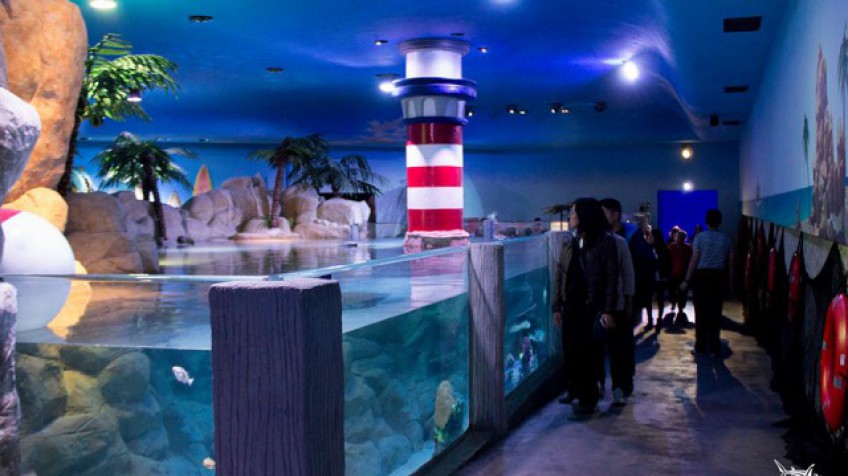 The Amazing Inbursa Aquarium In Polanco: An Undersea World To Explore!