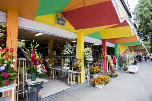 Mercado Medellin