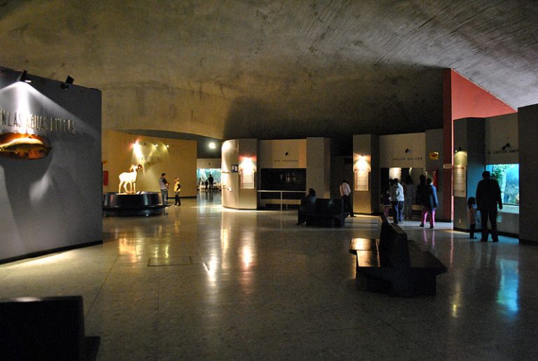 Museo de Historia Natural de la Ciudad de México