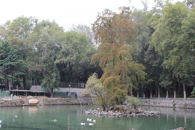 Parque Nacional Fuentes Brotantes de Tlalpan