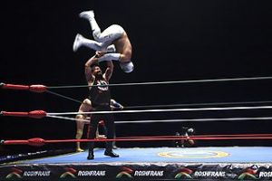 Arena México, Doctores