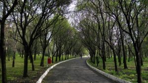 Parque Las Águilas/Parque Japón