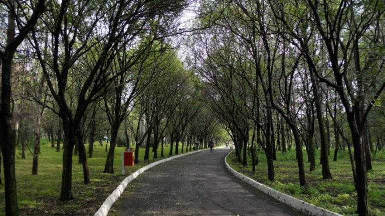 拉斯阿桂拉斯公園/日本公園