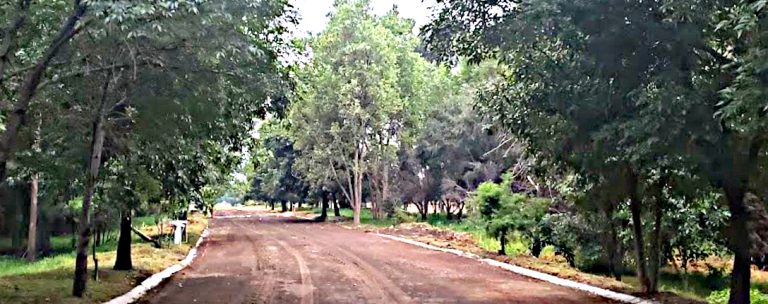 Parque ecológico “El Zapote”