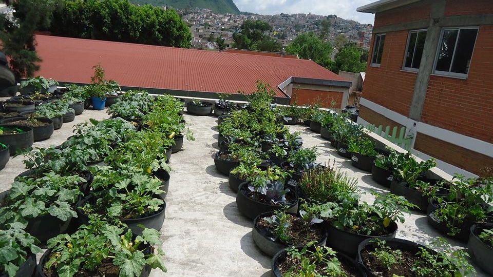 Centro Cultural Acahualtepec