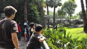 Zoológico de Chapultepec