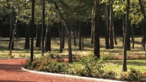 El Sope Running Track, Chapultepec