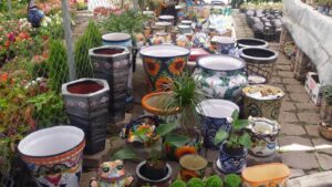 Cuemanco Plant and Flower Market