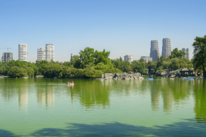 Lago Mayor de la Primera Sección