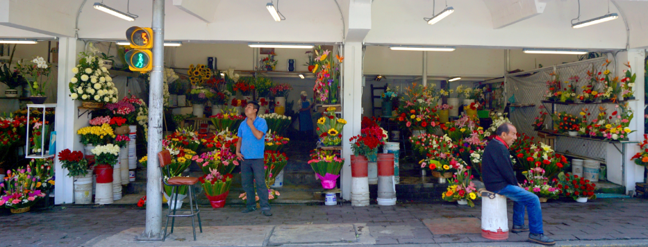 San Ángel Flower Market