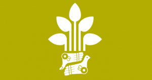 Metro Viveros/Derechos Humanos