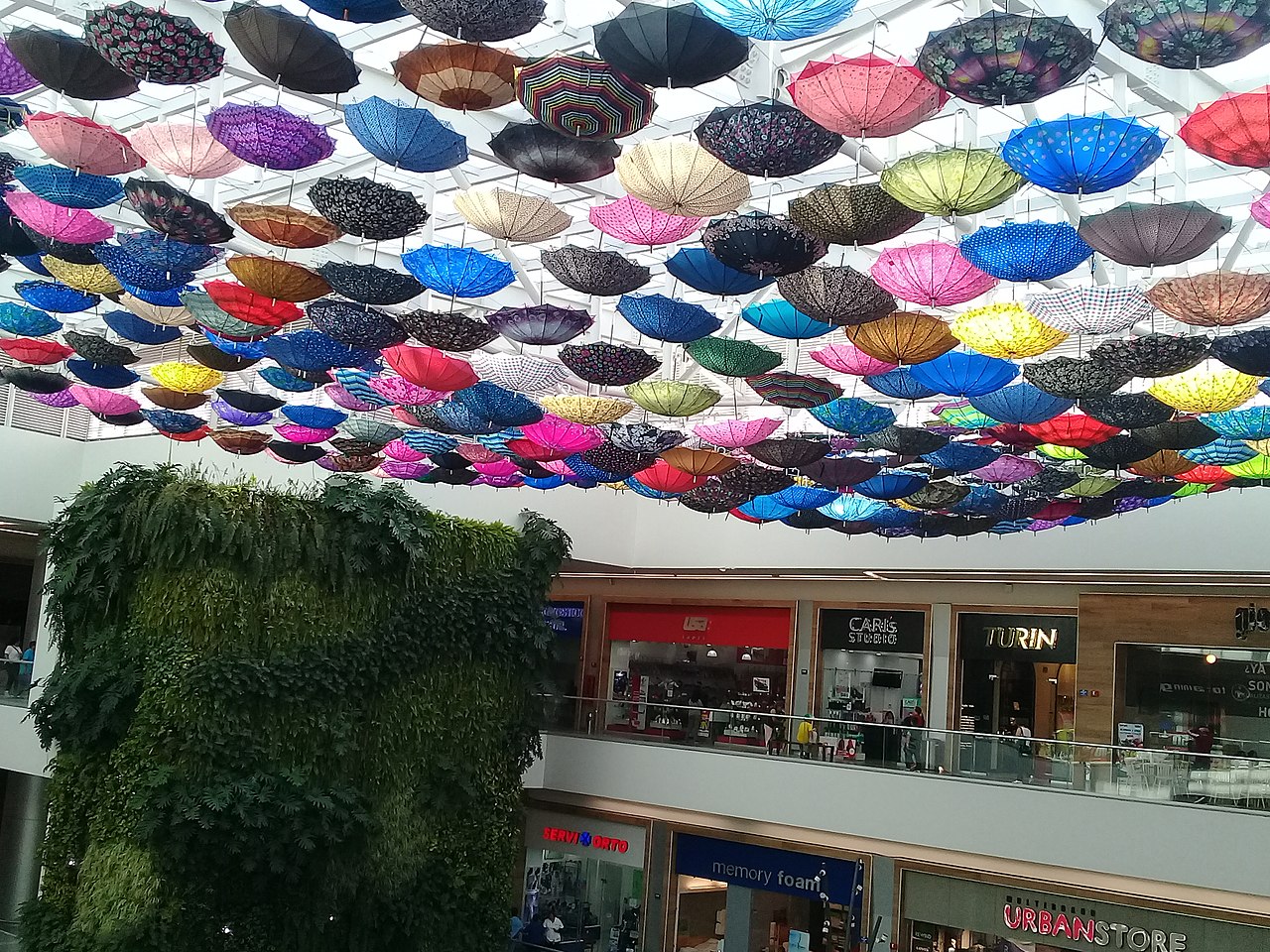 Encuentro Fortuna, Magdalena de las Salinas | Mexico City