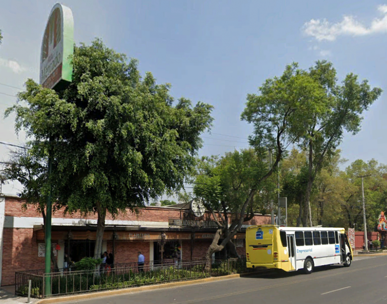 Santa Cruz Atoyac Market
