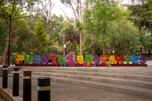 Parque Nacional Fuentes Brotantes de Tlalpan
