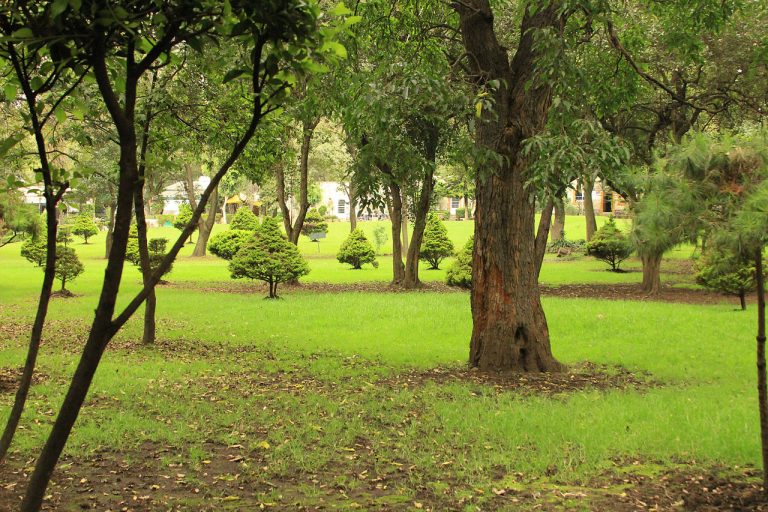 Parque Ecológico Loreto y Peña Pobre