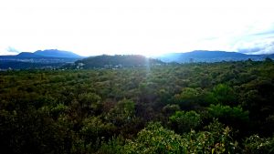 Reserva Ecológica del Pedregal de San Ángel