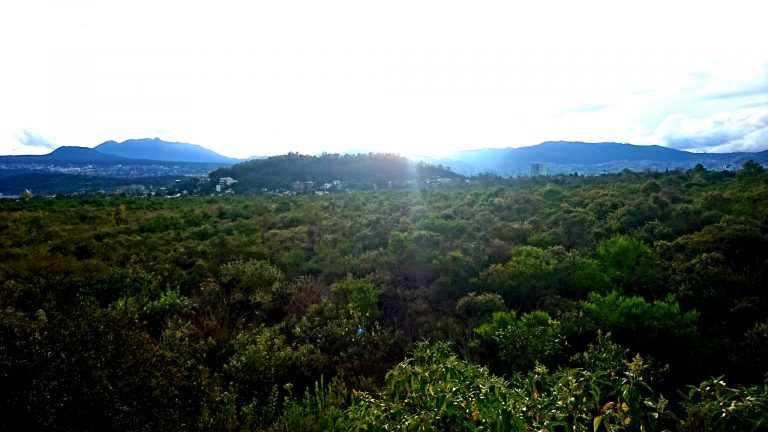 Pedregal de San Ángel Ecological Reserve