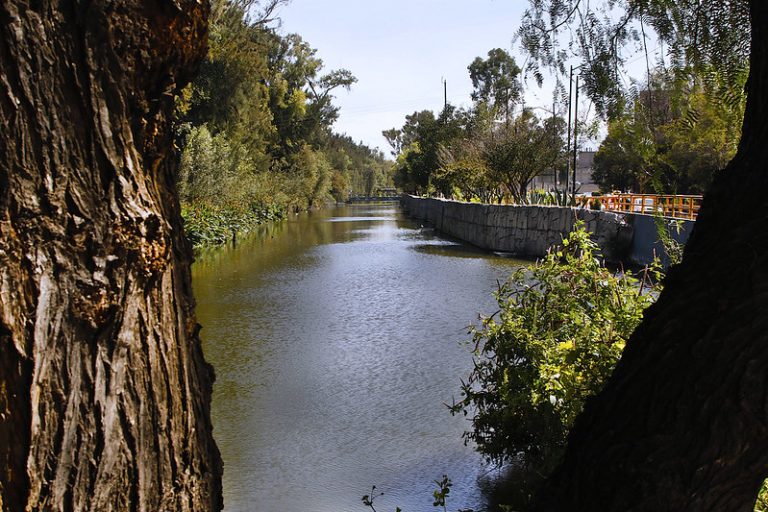 Canal Nacional