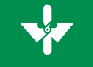 Metro Escuadrón 201