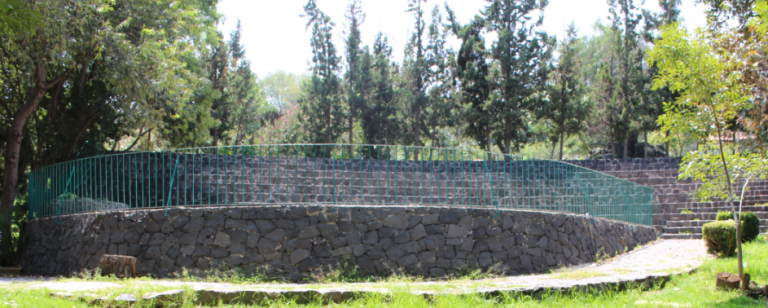 Bosque de San Luis Tlaxialtemalco