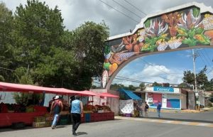 Tianguis de San Bartolomé Xicomulco