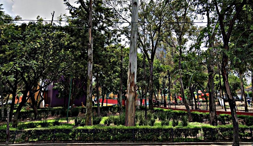 Parque Río San Joaquín-Legaria, Col. Pensil Deportivo - Mexico City