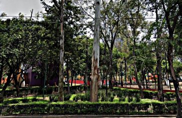 Parque Río San Joaquín-Legaria.png