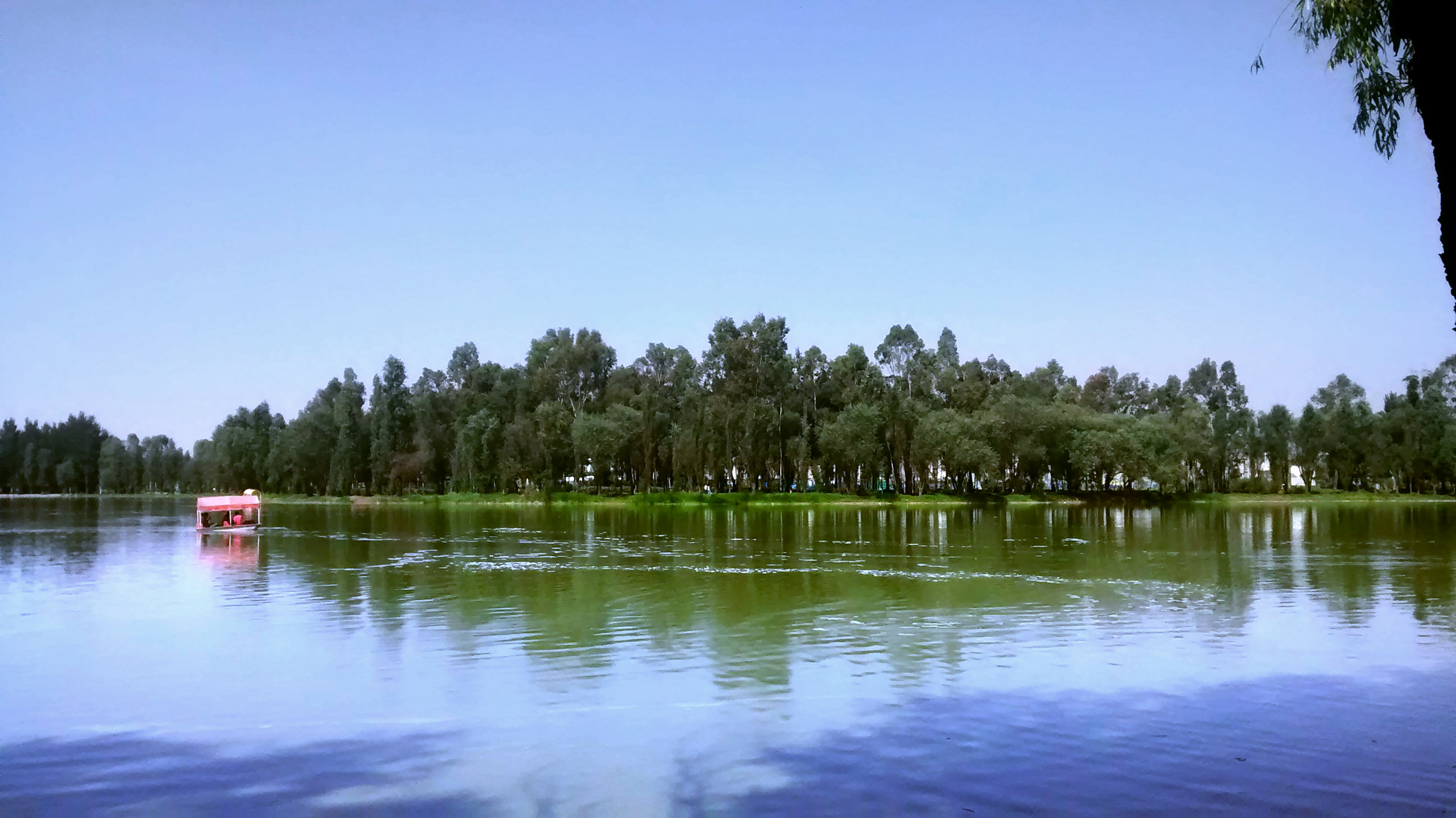 Bosque de Tláhuac