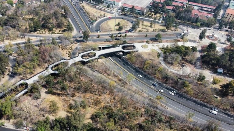 Calzada flotante del Bosque de Chapultepec