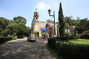 Museo Dolores Olmedo