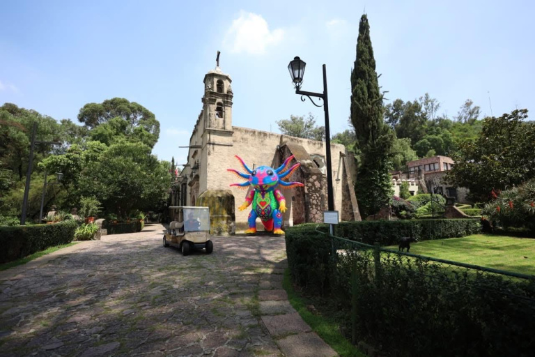 Museo Dolores Olmedo