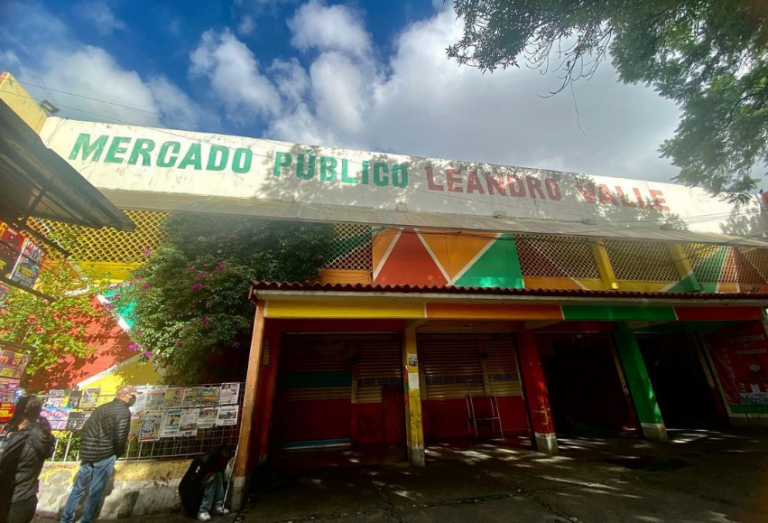 Mercado Leandro Valle, Agrícola Oriental