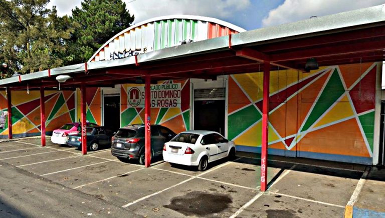 Mercado Santo Domingo Las Rosas