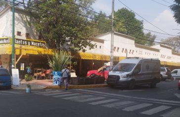 Mercado de Flores San Fernando