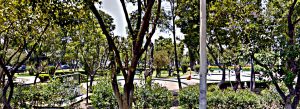 Parque Toriello, Tlalpan