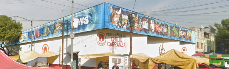 Mercado Emilio Carranza