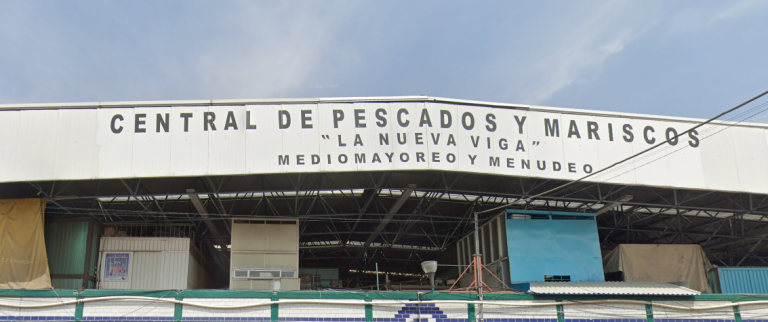 Mercado La Nueva Viga