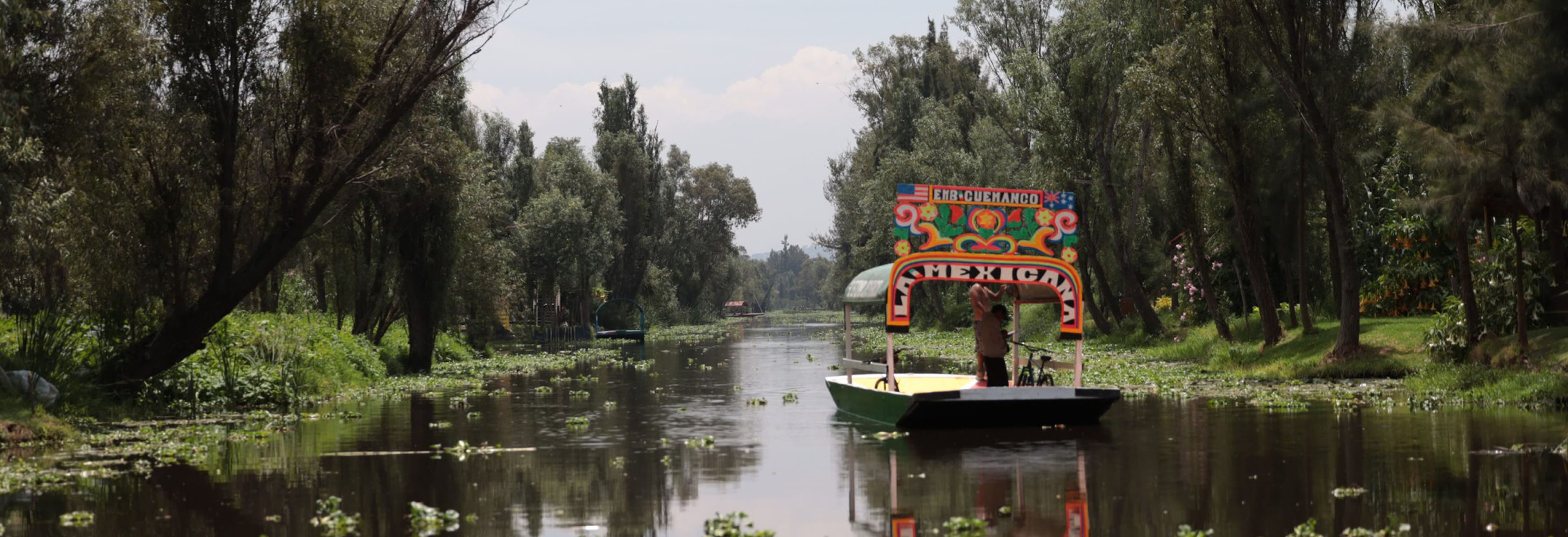 The Parks of Xochimilco  > > 