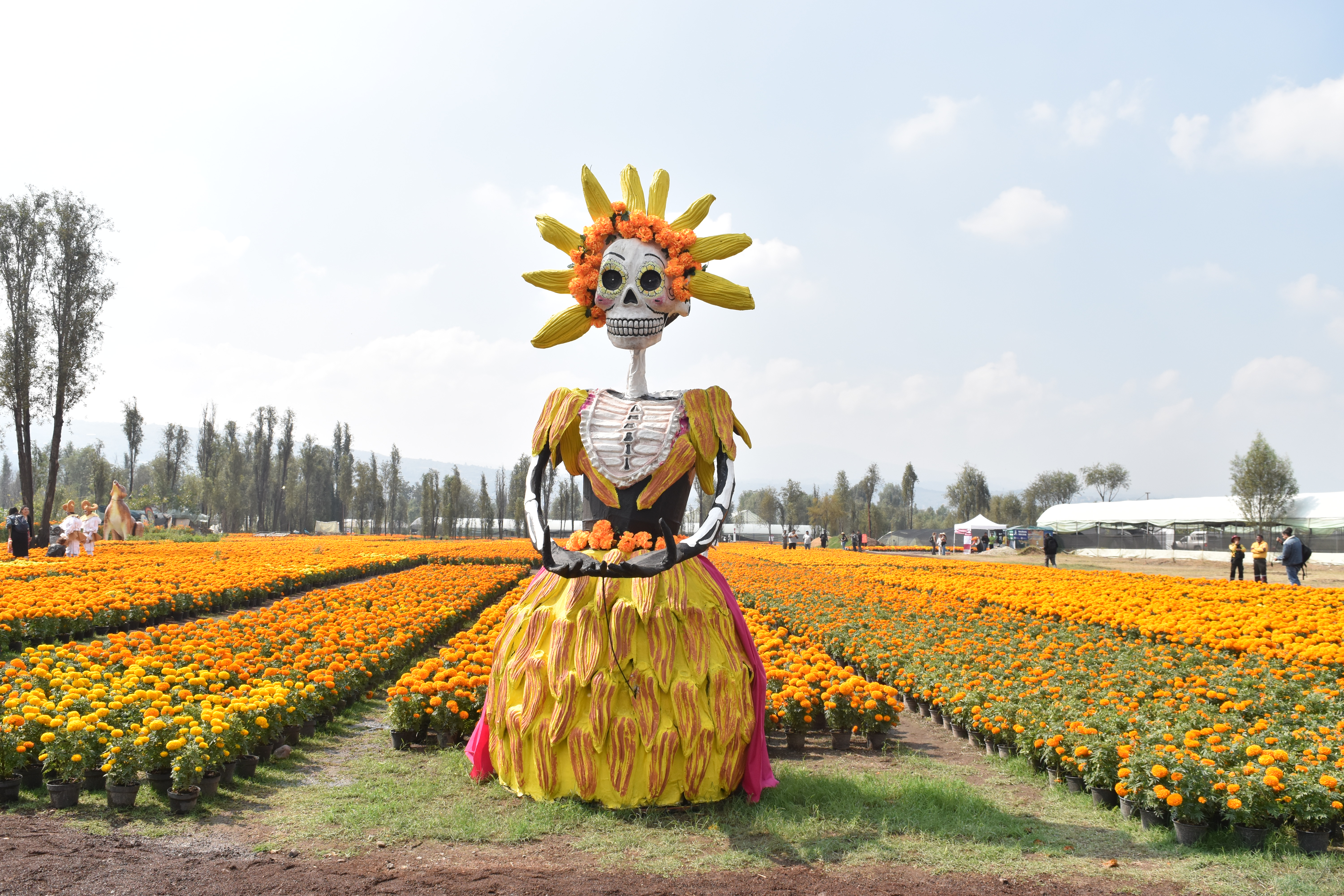 Welcome to Xochimilco