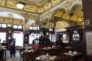 Mercados y Gastronomía (9 lugares)