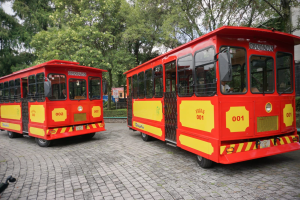 Tranvía Turístico de Coyoacán