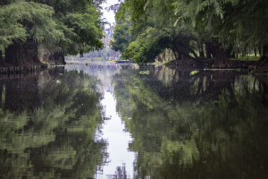 Coyoacán y Xochimilco (16 lugares)