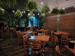 La Bipo (Coyoacán)