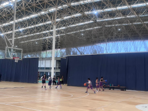 Colosos del deporte
