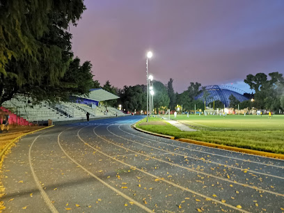 Domo del Deportivo Plan Sexenal