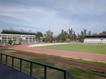 Estadio Jesús Martínez “Palillo”